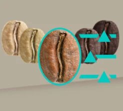 SIEMENS EQ.900 TQ905R03 Inox Garantie 3 Ans 15 SIEMENS EQ.900 TQ905R03 Inox Garantie 3 Ans -Vente De Café 8siemenseq900inox