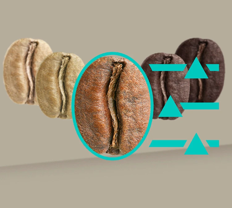 SIEMENS EQ.900 TQ905R03 Inox Garantie 3 Ans 8 SIEMENS EQ.900 TQ905R03 Inox Garantie 3 Ans – Image 8