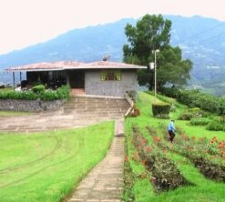 4x250g Café En Grain Bio La Esperanza - Cafés Lugat -Vente De Café cafe grains esperanza colombie 3