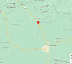 4x250g Café En Grain Nicaragua Don Olman - Cafés Lugat -Vente De Café cafeengraincafeslugatdipilto