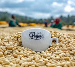 1 Kg Café En Grain Le Dark'n Sweet - Cafés Lugat -Vente De Café cafeengraincafeslugatmarque