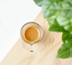 1kg Café En Grain Bio Mélange Savanah - GREEN LION COFFEE -Vente De Café cafeengraingreenlioncoffeeexpresso 3