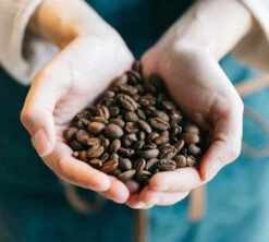 Café En Grains Brûlerie Du Cantin - Mélange Dégustation 100% Arabica - 250gr -Vente De Café lifestyle grain 2