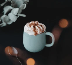 Mug Terra Brique + Mug Terra Sauge- 33 Cl - PYLANO -Vente De Café pylano tasse terra lifestyle 1