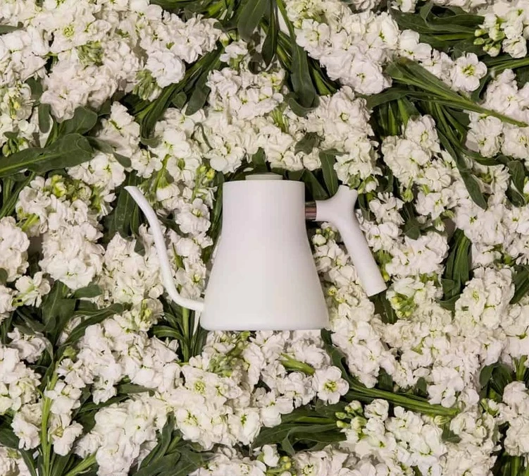 Bouilloire Traditionnelle Stagg Blanc 1 L Col De Cygne - FELLOW 2 Bouilloire Traditionnelle Stagg Blanc 1 L Col De Cygne - FELLOW – Image 2